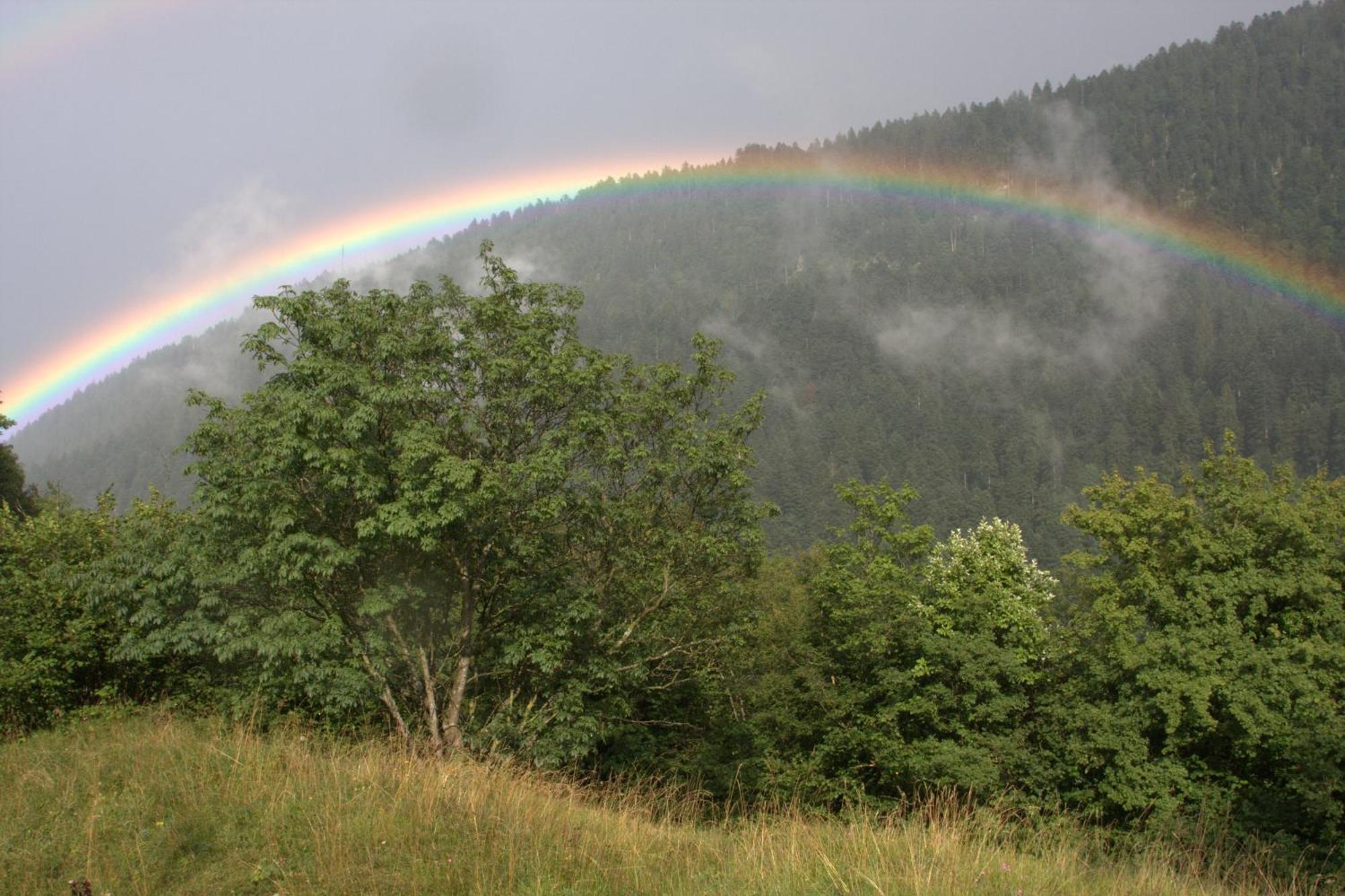 Agriturismo Ai Castioni Молвена Екстериор снимка